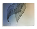 Hojas esqueléticas delicadas - Shihya Kowatari | Cuadro decorativo de Canvas Lab