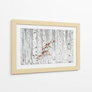 Hojas marrones de abedul en invierno - HAN dong hee | Cuadro decorativo de Canvas Lab