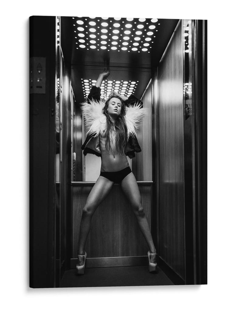 Glamour en ascensor monocromático - Martin Krystynek MQEP | Cuadro decorativo de Canvas Lab