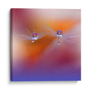 Gotas de rocío de diente de león bailando - Juliana Nan | Cuadro decorativo de Canvas Lab