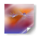 Gotas de rocío de diente de león bailando - Juliana Nan | Cuadro decorativo de Canvas Lab