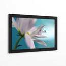 Gotas de flores serenas - Heidi Westum | Cuadro decorativo de Canvas Lab