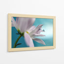 Gotas de flores serenas - Heidi Westum | Cuadro decorativo de Canvas Lab
