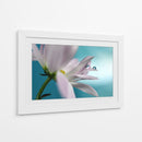Gotas de flores serenas - Heidi Westum | Cuadro decorativo de Canvas Lab