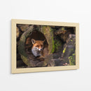 Guarida del zorro rojo - Cees van Ginkel | Cuadro decorativo de Canvas Lab