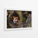 Guarida del zorro rojo - Cees van Ginkel | Cuadro decorativo de Canvas Lab