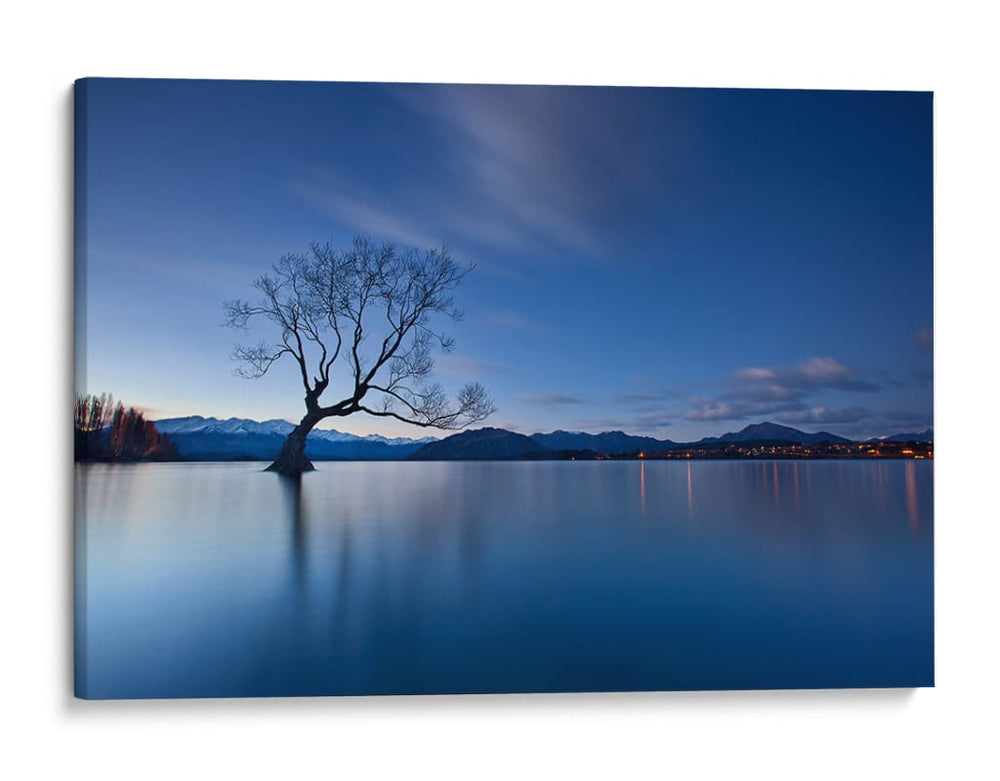 La hora azul del árbol solitario - Yan Zhang | Cuadro decorativo de Canvas Lab