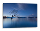 La hora azul del árbol solitario - Yan Zhang | Cuadro decorativo de Canvas Lab