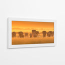 La hora dorada de los elefantes africanos - David Hua | Cuadro decorativo de Canvas Lab