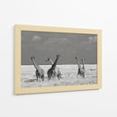 Jirafas salvajes africanas - Mathilde Guillemot | Cuadro decorativo de Canvas Lab