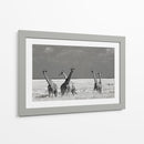 Cuadro decorativo de Canvas Lab