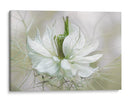 La aguja tejida - Mandy Disher | Cuadro decorativo de Canvas Lab