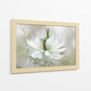 La aguja tejida - Mandy Disher | Cuadro decorativo de Canvas Lab