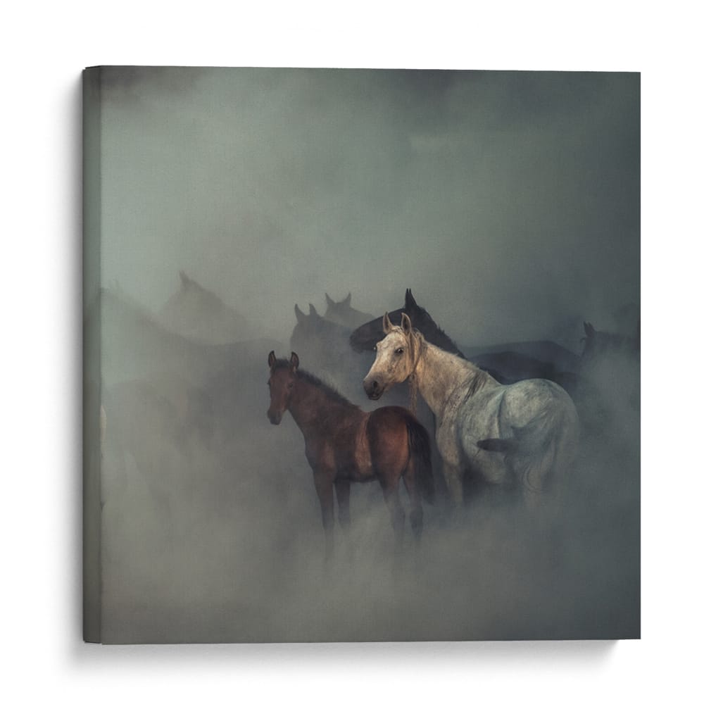 Misteriosa manada de caballos - Huseyin Taşkın | Cuadro decorativo de Canvas Lab