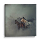 Misteriosa manada de caballos - Huseyin Taşkın | Cuadro decorativo de Canvas Lab