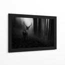 Misterioso ciervo del bosque - Doris Reindl | Cuadro decorativo de Canvas Lab