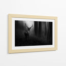 Misterioso ciervo del bosque - Doris Reindl | Cuadro decorativo de Canvas Lab