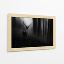 Misterioso ciervo del bosque - Doris Reindl | Cuadro decorativo de Canvas Lab