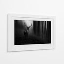 Misterioso ciervo del bosque - Doris Reindl | Cuadro decorativo de Canvas Lab