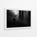 Misterioso ciervo del bosque - Doris Reindl | Cuadro decorativo de Canvas Lab