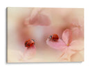 Mariquitas sobre pétalos rosas - Ellen van Deelen | Cuadro decorativo de Canvas Lab