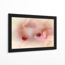 Mariquitas sobre pétalos rosas - Ellen van Deelen | Cuadro decorativo de Canvas Lab
