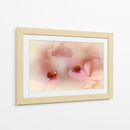 Mariquitas sobre pétalos rosas - Ellen van Deelen | Cuadro decorativo de Canvas Lab