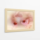 Mariquitas sobre pétalos rosas - Ellen van Deelen | Cuadro decorativo de Canvas Lab