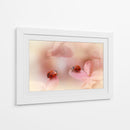 Mariquitas sobre pétalos rosas - Ellen van Deelen | Cuadro decorativo de Canvas Lab