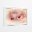 Mariquitas sobre pétalos rosas - Ellen van Deelen | Cuadro decorativo de Canvas Lab