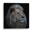 Majestuoso león blanco - Louise Wolbers | Cuadro decorativo de Canvas Lab