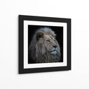 Majestuoso león blanco - Louise Wolbers | Cuadro decorativo de Canvas Lab