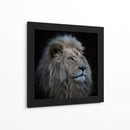 Majestuoso león blanco - Louise Wolbers | Cuadro decorativo de Canvas Lab