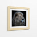 Majestuoso león blanco - Louise Wolbers | Cuadro decorativo de Canvas Lab