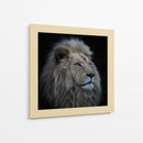 Majestuoso león blanco - Louise Wolbers | Cuadro decorativo de Canvas Lab