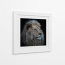 Majestuoso león blanco - Louise Wolbers | Cuadro decorativo de Canvas Lab