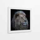 Majestuoso león blanco - Louise Wolbers | Cuadro decorativo de Canvas Lab
