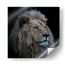 Majestuoso león blanco - Louise Wolbers | Cuadro decorativo de Canvas Lab