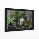 Mirada del lobo blanco en el bosque - Mike Centioli | Cuadro decorativo de Canvas Lab