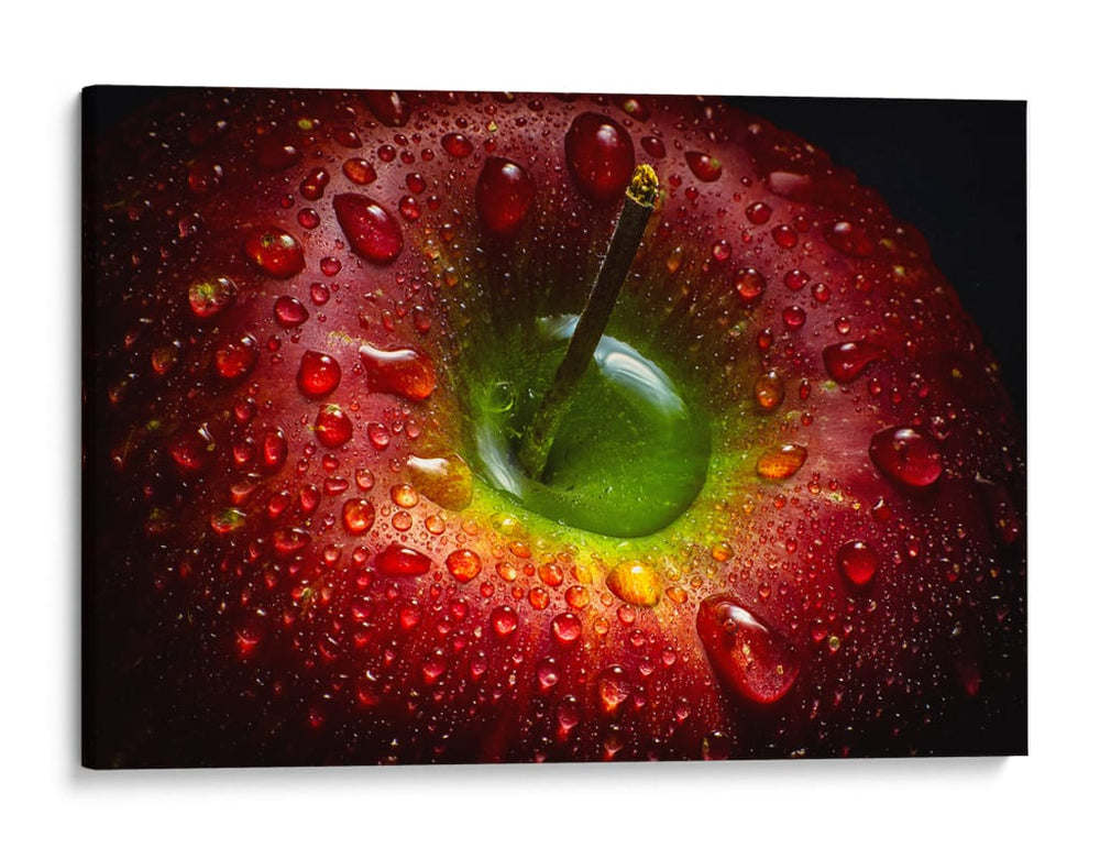 Manzana roja cubierta de rocío - Aida Ianeva | Cuadro decorativo de Canvas Lab