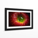 Manzana roja cubierta de rocío - Aida Ianeva | Cuadro decorativo de Canvas Lab