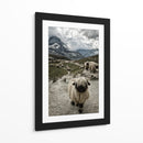 Nariz negra del cantón de Valais Montaña Matterhorn - Susanne Landolt | Cuadro decorativo de Canvas Lab