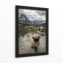 Nariz negra del cantón de Valais Montaña Matterhorn - Susanne Landolt | Cuadro decorativo de Canvas Lab
