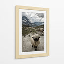 Nariz negra del cantón de Valais Montaña Matterhorn - Susanne Landolt | Cuadro decorativo de Canvas Lab