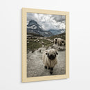 Nariz negra del cantón de Valais Montaña Matterhorn - Susanne Landolt | Cuadro decorativo de Canvas Lab