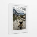 Nariz negra del cantón de Valais Montaña Matterhorn - Susanne Landolt | Cuadro decorativo de Canvas Lab