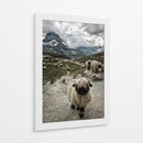 Nariz negra del cantón de Valais Montaña Matterhorn - Susanne Landolt | Cuadro decorativo de Canvas Lab