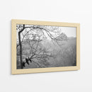 Panda descansando en un árbol - Alessandro Catta | Cuadro decorativo de Canvas Lab