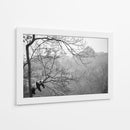 Panda descansando en un árbol - Alessandro Catta | Cuadro decorativo de Canvas Lab