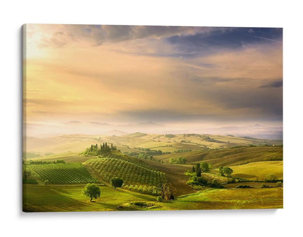 Paisaje matutino toscano - Arnaud BRATKOVIC | Cuadro decorativo de Canvas Lab
